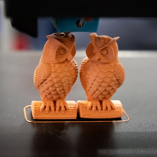 Couple Owl